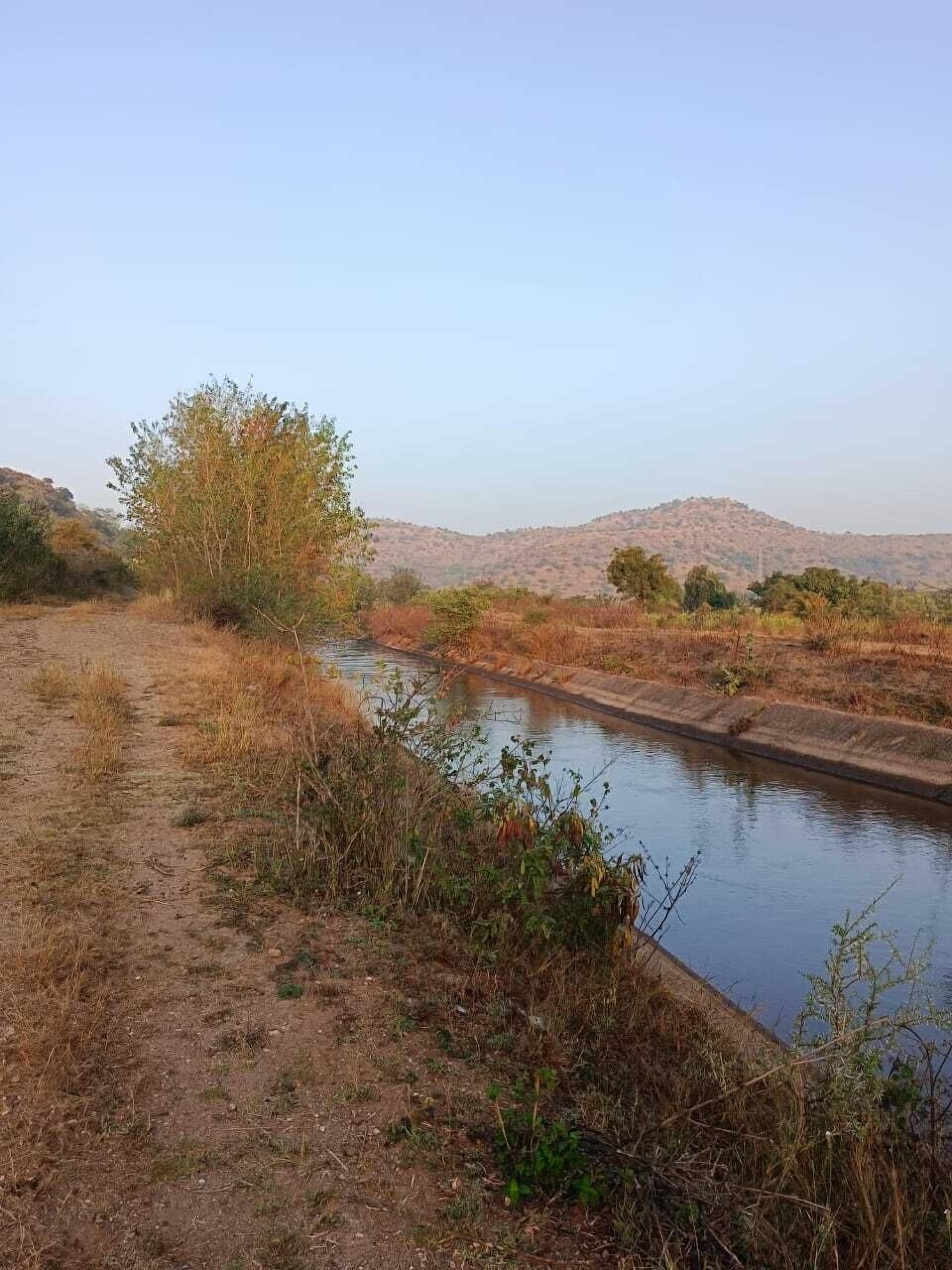 Un lit de rivière asséché, avec une végétation clairsemée, et une colline qui se dessine à l’horizon.