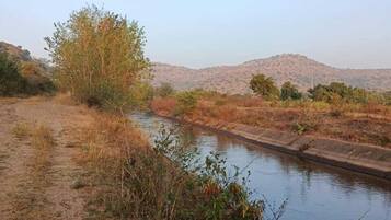 Un lit de rivière asséché, avec une végétation clairsemée, et une colline qui se dessine à l’horizon.