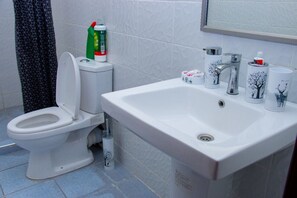 Shower, towels, soap, toilet paper