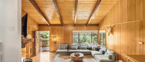 TV, fireplace, offices