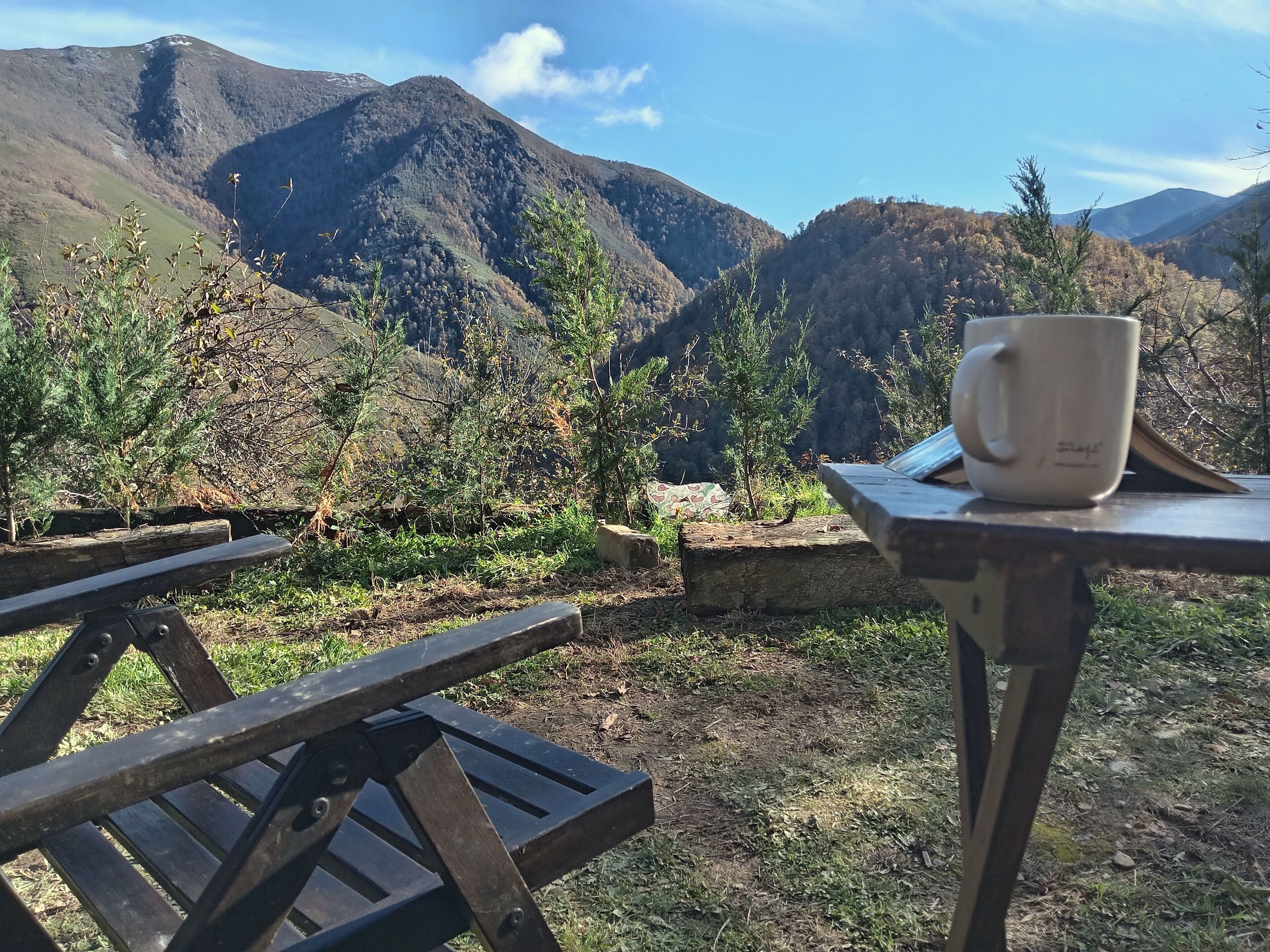 屋外ダイニングエリア