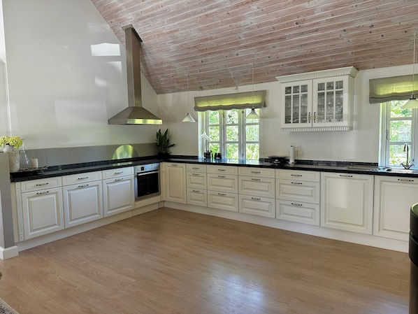 Fridge, oven, stovetop, dishwasher