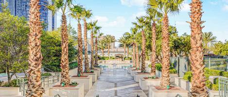 Enceinte de l’hébergement