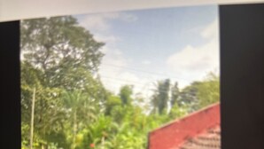 A red-roofed building with a tiled roof and a garden in the background. - Kiota Jungle Homestay (Dar es Salaam)