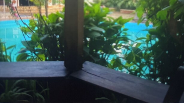 A pool area with a wooden deck and lush greenery surrounding it. - Kiota Jungle Homestay (Dar es Salaam)