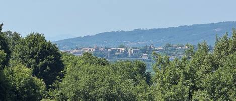 A view of a town with buildings and hills in the background.