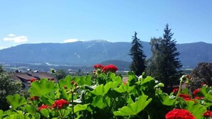 A garden with red flowers and green leaves in the foreground, with a mountain range in the background. - Appartment with beautiful mountain view (San Giorgio)