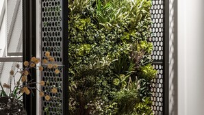 A modern interior with a vertical garden wall, a dining area with a table and chairs, and a potted plant on the table. - 3 Bedroom, Stylish, Spacious Stunner! Huge Balcony, Minutes to Marvel! (Melbourne)