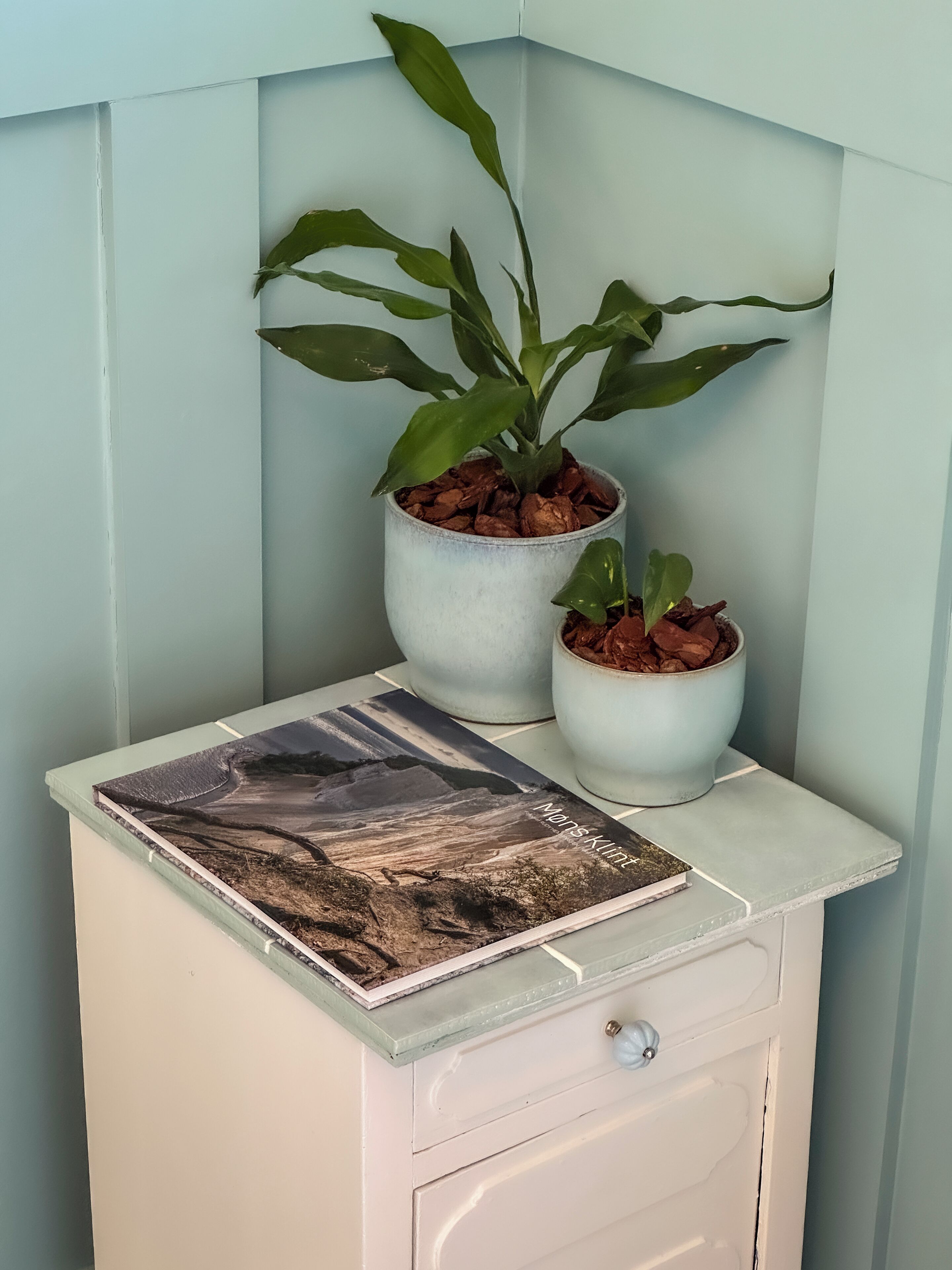 A white nightstand with a landscape book and two potted plants.