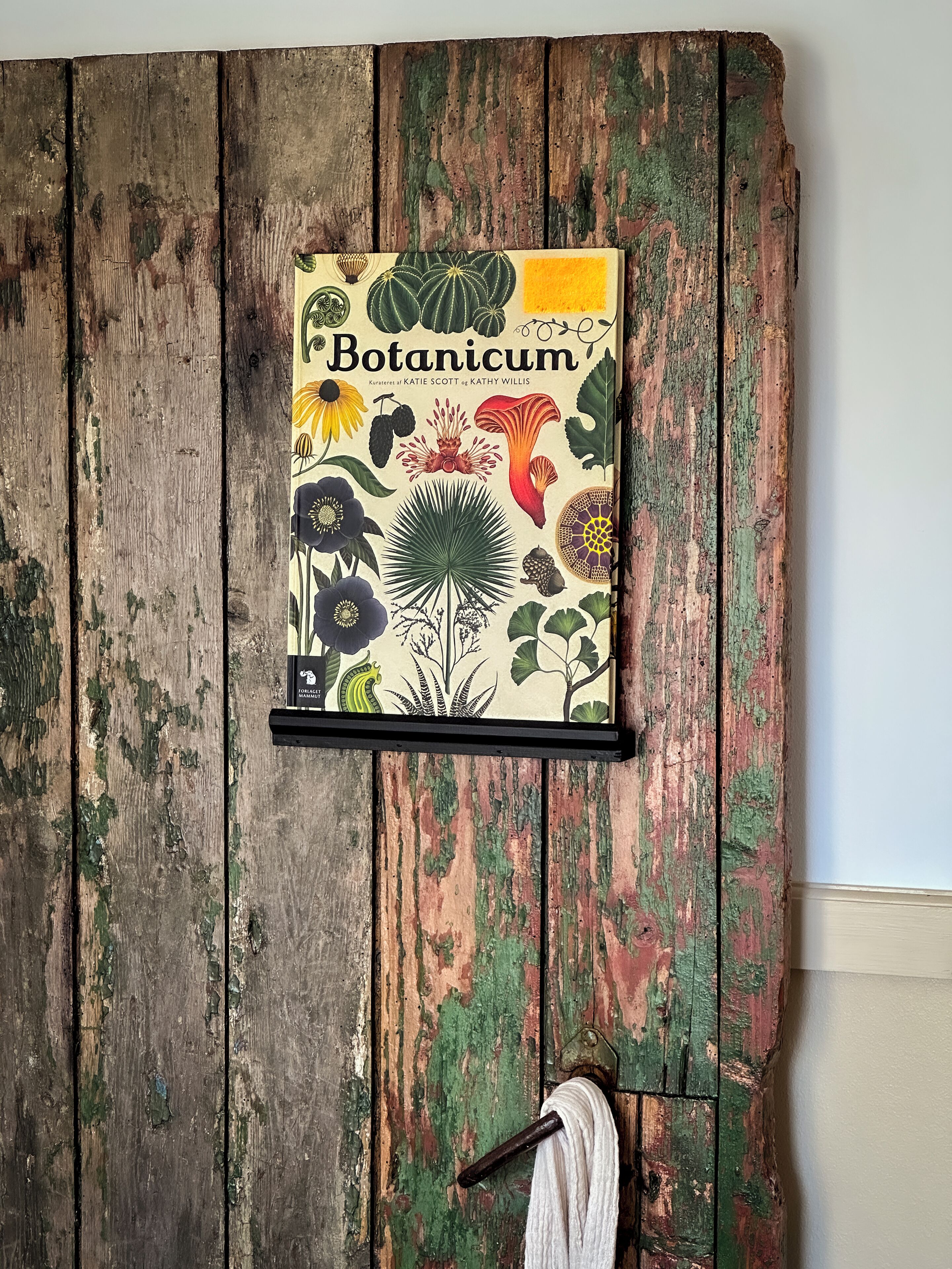 Un mur en bois rustique orné d’une illustration botanique encadrée, intitulée « Botanicum », de Katie Scott.