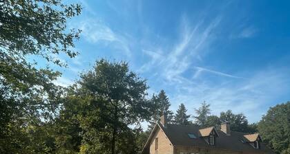 Large House in the Heart of the Forest – 7 Suites / Large Dormitory