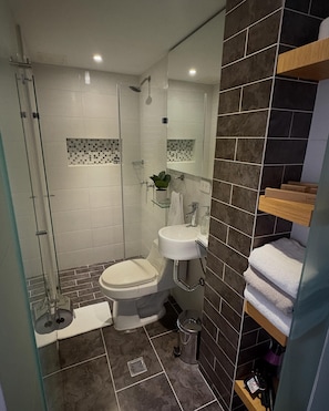 Hair dryer, towels, soap, toilet paper