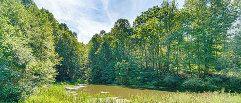 Un paisaje boscoso y tranquilo con un río apacible, árboles densos y un primer plano cubierto de hierba.