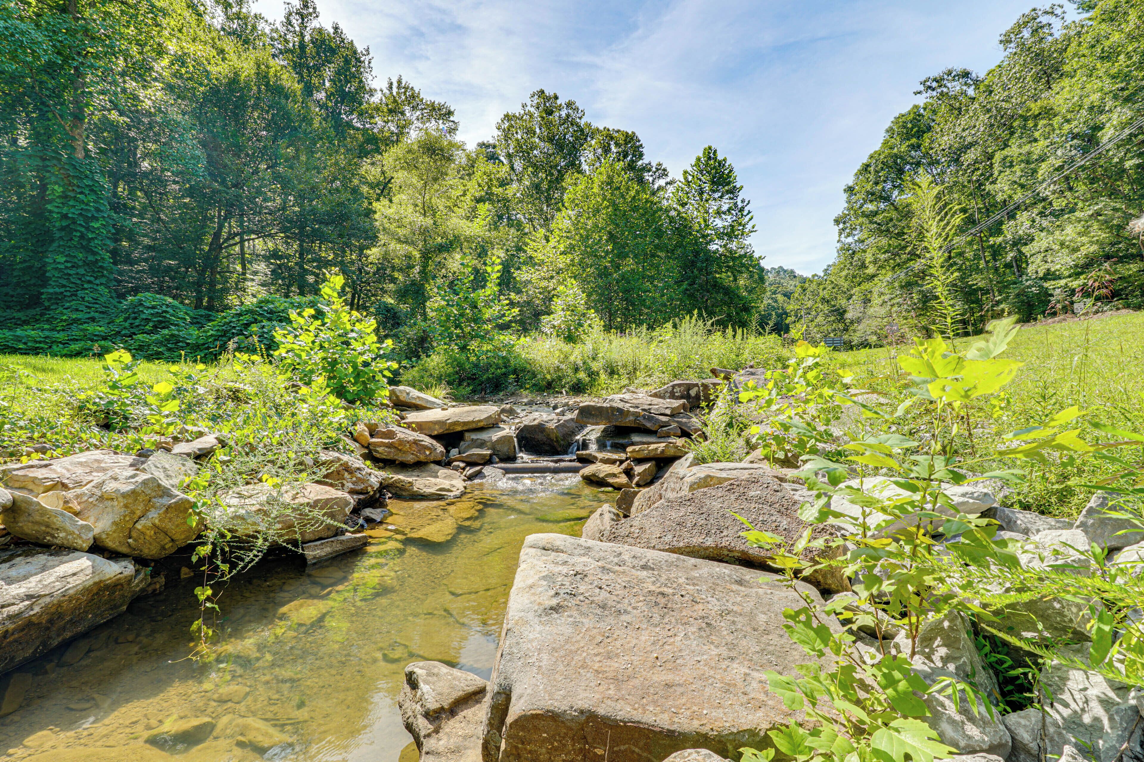 A natural landscape with a stream, rocks, and dense greenery.