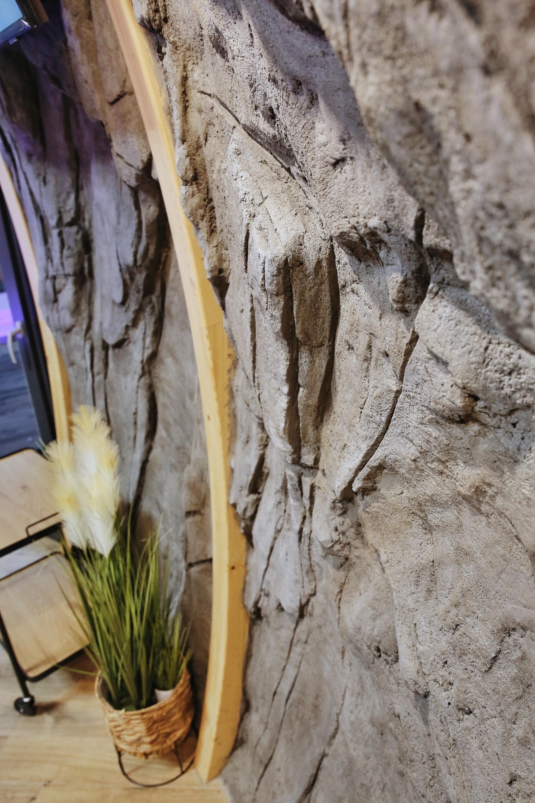 A close-up of a textured wall with a wooden frame and a potted plant.