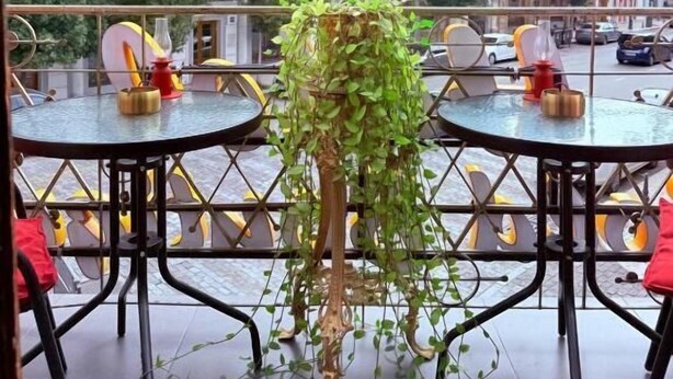 Una terraza con mesas redondas, una planta en maceta y vistas a edificios históricos.