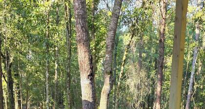 Serene 2-bedroom Tiny house with AC in the Woods in Sumrall