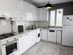 Fridge, oven, dishwasher, coffee/tea maker