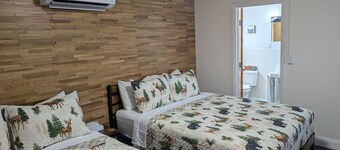 South of the Border VT Room 8