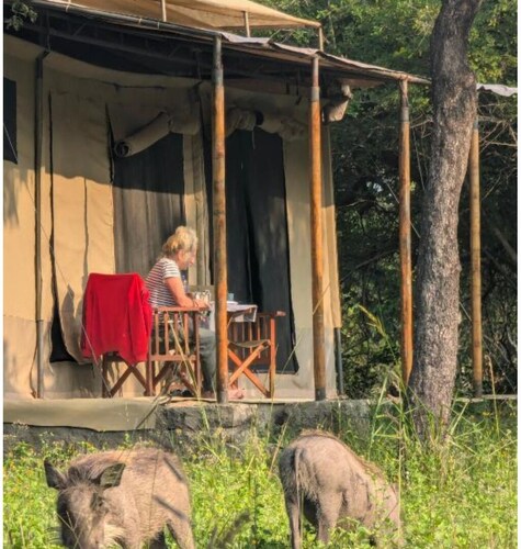Double G safaris and Camp Mikumi - Superior Single Room