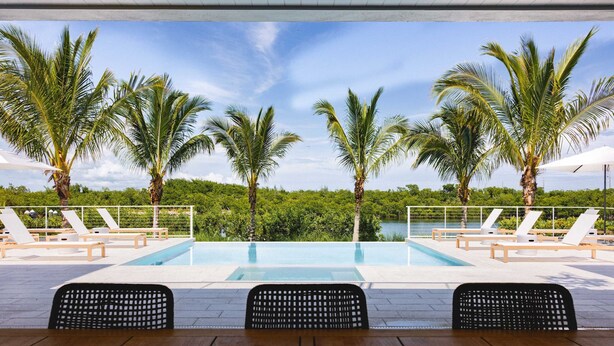 Un espace aménagé au bord de la piscine, avec des chaises longues, une table en bois et des palmiers.