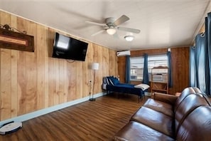 TV