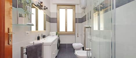 Shower, hair dryer, bidet, towels