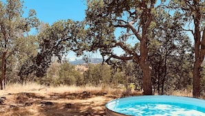 An outdoor swimming pool surrounded by trees and dry grass. - Yosemite Boho Bungalow, Pet Friendly + Mtn Views! (Coarsegold)