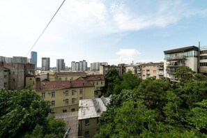 Vista desde la propiedad