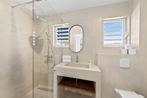 Shower, hair dryer, towels
