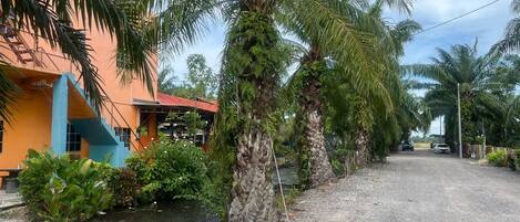 Suite Double | Exterior