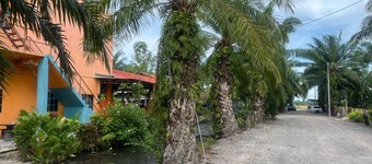 Capital O 91206 Homestay Pelangi Ban