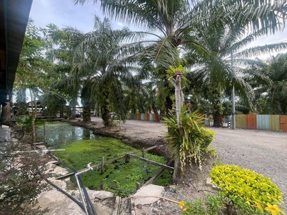 Capital O 91206 Homestay Pelangi Ban