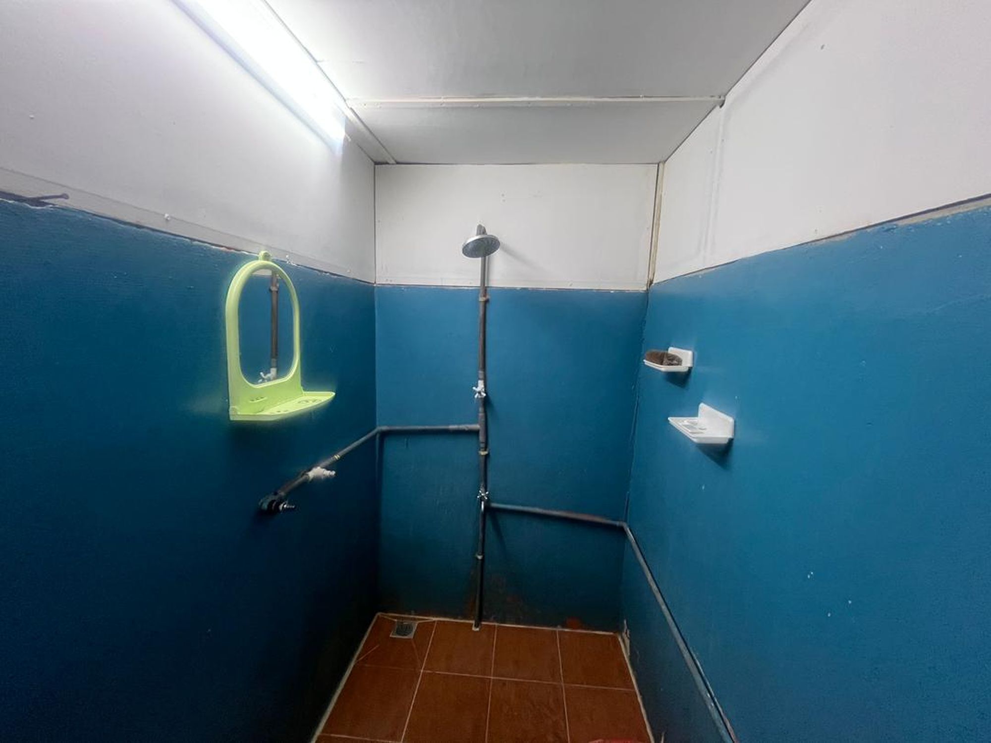 Une petite salle de bain étroite aux murs bleus, au plafond blanc et dotée d’un espace douche.