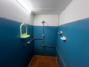 Ein kleines, schmales Badezimmer mit blauen Wänden, einer weißen Decke und einem Duschbereich.
