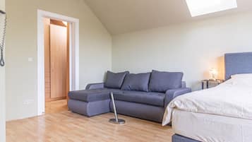 Schreibtisch, Bügeleisen/Bügelbrett, WLAN, Bettwäsche
