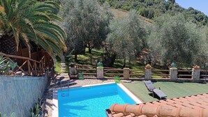 A swimming pool with a wooden deck, surrounded by olive trees and a stone wall.