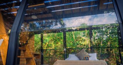 Silvery Refugio Natural