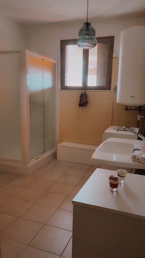 Shower, hair dryer, towels