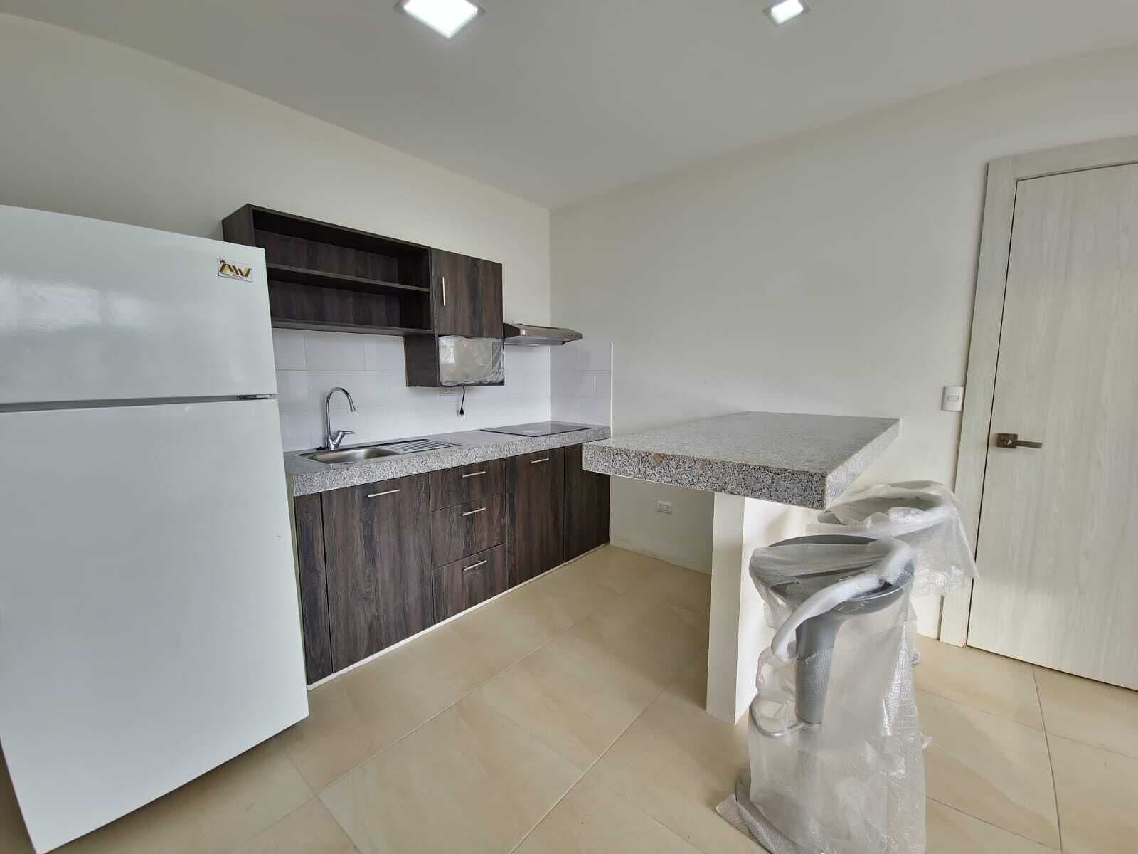 Microondas, placa de cocina