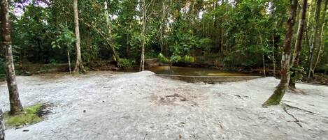 Área da propriedade