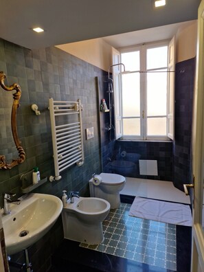 Shower, hair dryer, bidet, towels
