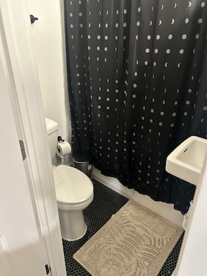 Hair dryer, towels, soap, shampoo