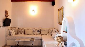 Televisión y libros