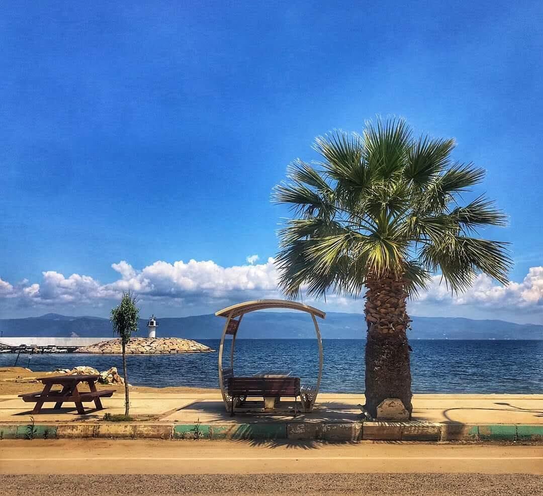 Overnatningsstedets område