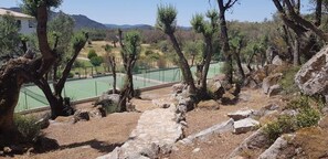 Sports court