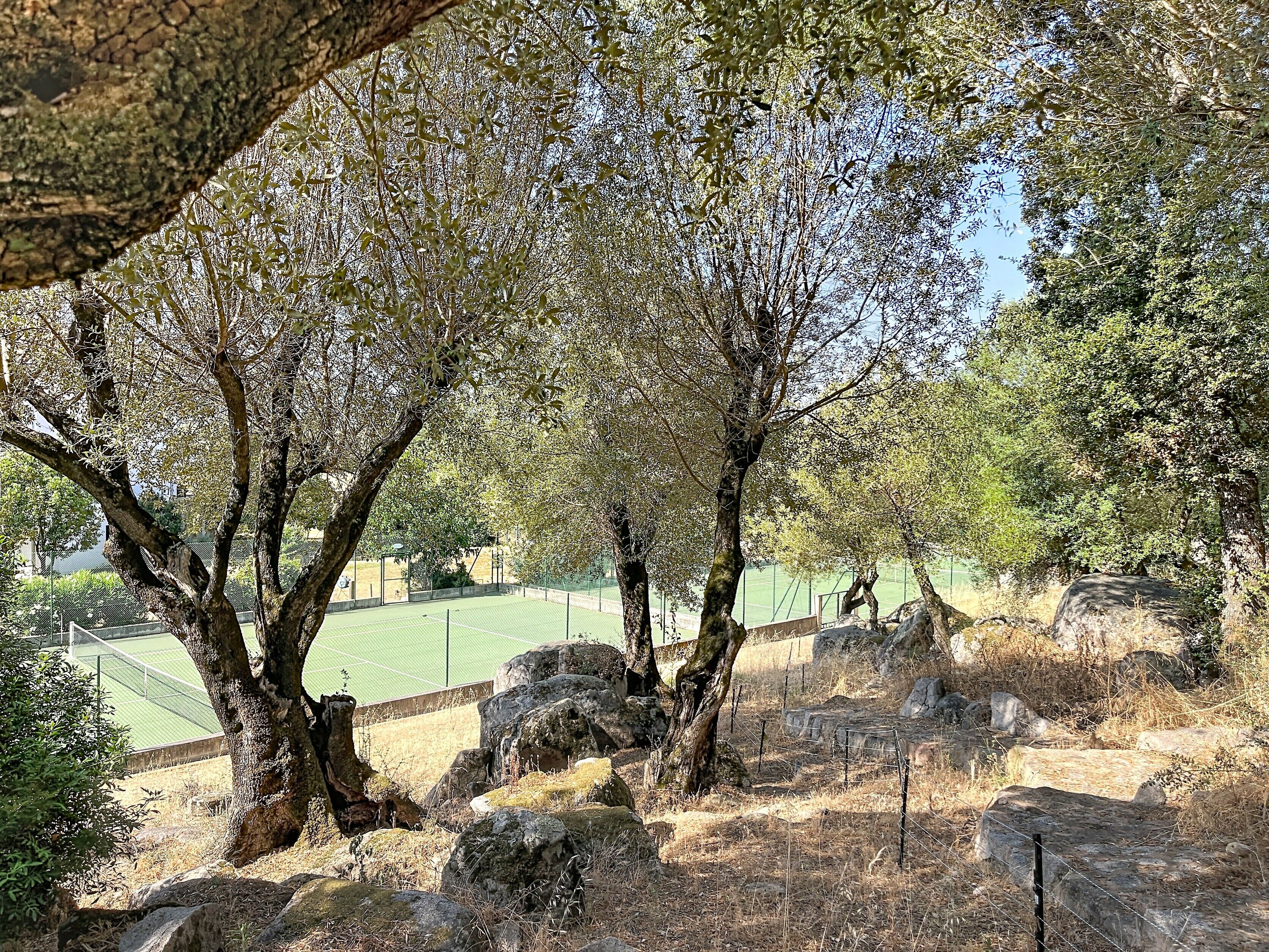 A natural outdoor area with trees, rocks, and a tennis court in the background.