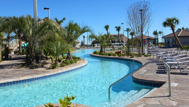 A swimming pool with a curved design, surrounded by palm trees and lounge chairs.