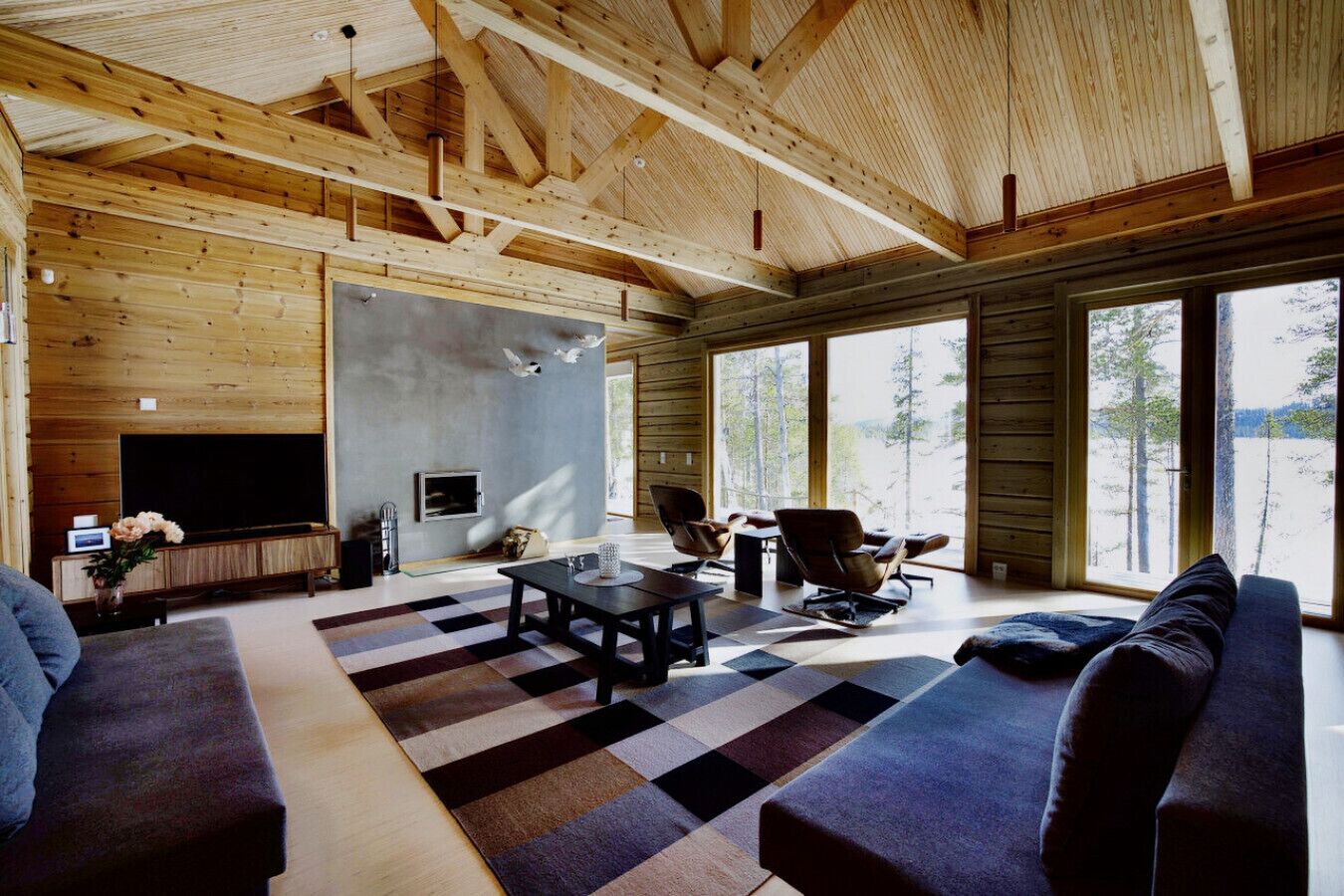 Smart TV, fireplace, books, stereo