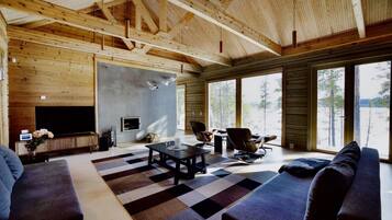 Smart TV, fireplace, books, stereo